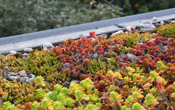 the cost of Ealand green roof installation