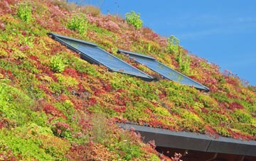 Ealand living roof systems