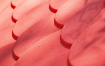 Ealand plastic roof costs