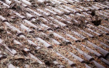 Ealand roof cleaning companies