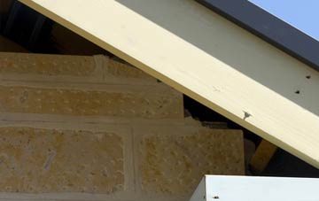 soffit repair Ealand