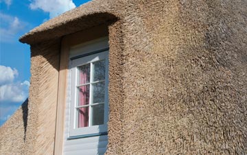 Ealand thatch roof disadvantages